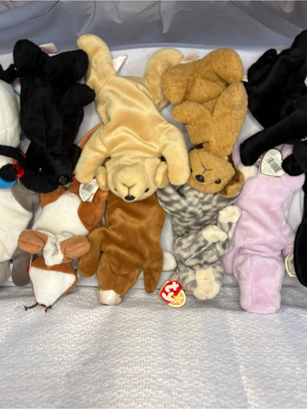 Lot of Ty Beanie Babies